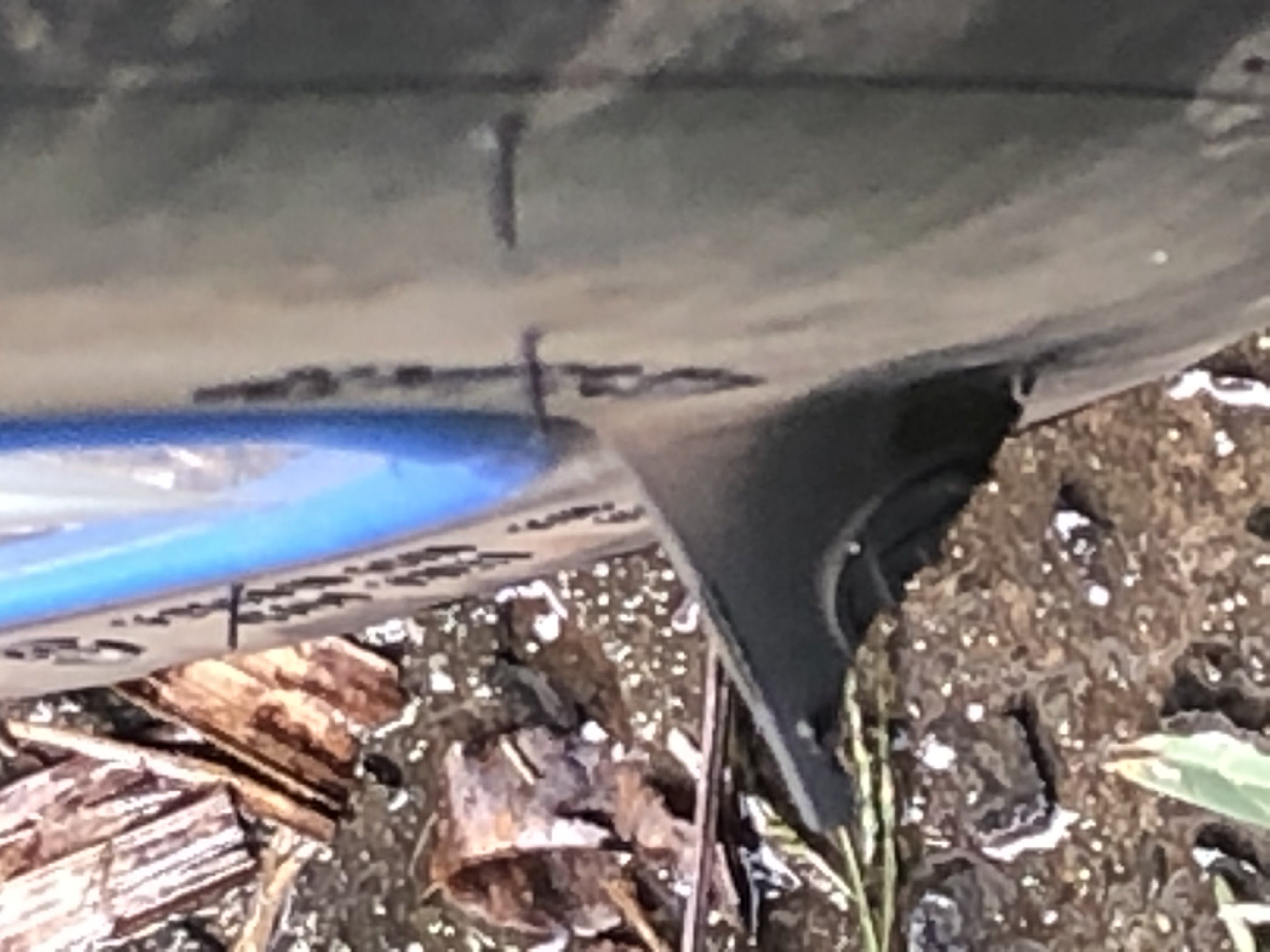 IMG_9474.jpeg
